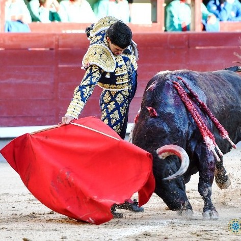 Diario Frontera, Frontera Digital,  FERIA DE SAN ISIDRO, TERCER FESTEJO, Entretenimiento, ,Una hermosa y buena corrida de Juan Pedro Domecq