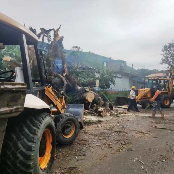 Diario Frontera, Frontera Digital,  SANTOS MARQUINA, LAS MERCEDES, ÁRBOLES CAIDOS, Páramo, ,Ejecutivo regional solventó situación en Las Mercedes