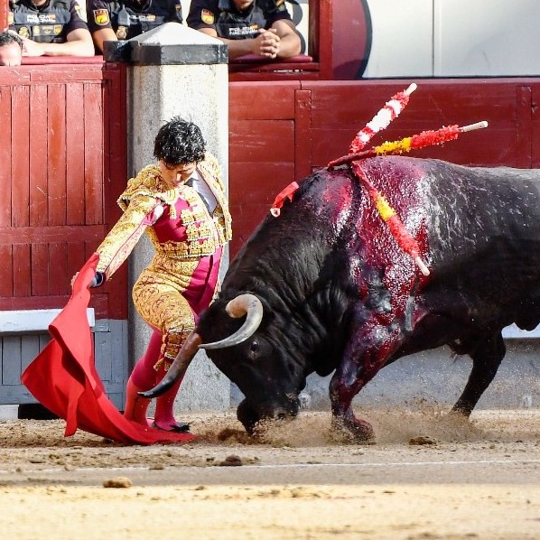 Diario Frontera, Frontera Digital,  EXTO FESTEJO DE ABONO, FERIA DE SAN ISIDRO, Entretenimiento, ,Perera se gusta con un gran toro