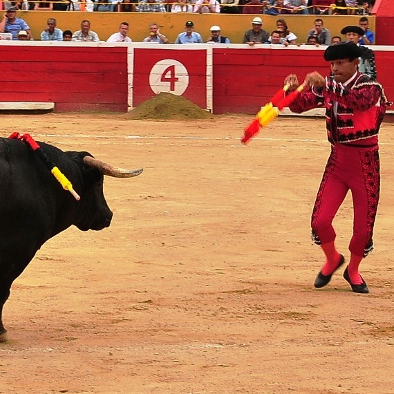 Diario Frontera, Frontera Digital,  COTRATACIONES, SAN CRISTÓBAL, SAN SEBASTIÁN, Isaías A. Márquez Díaz, Entretenimiento, ,De Justo y Fonseca junto a Los Aránguez, 
primeras contrataciones para San Cristóbal