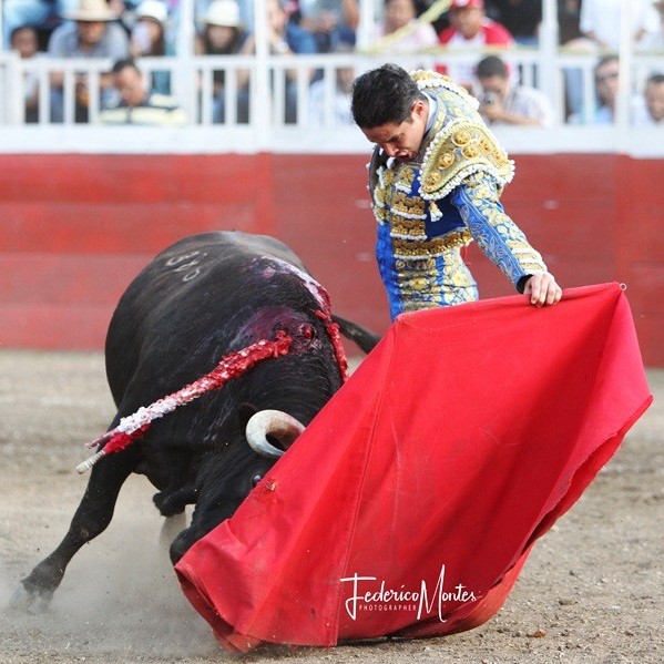 Diario Frontera, Frontera Digital,  TOROS EN EL VIGÍA, Entretenimiento, ,El Vigía tendrá toros, con cartel atractivo mixto