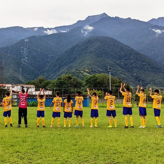 Diario Frontera, Frontera Digital,  UNIVERSITARIOS SC, MÉRIDA, Deportes, ,Saldo positivo para Universitarios SC en torneos de fútbol menor