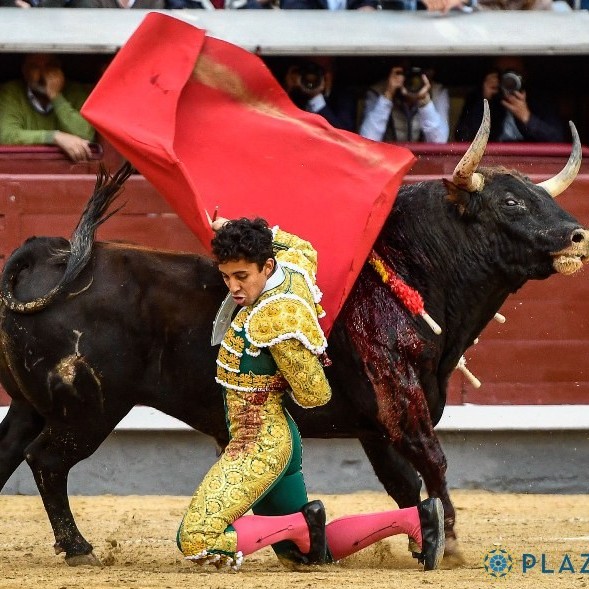 Diario Frontera, Frontera Digital,  FERIA DE SAN ISIDRO, UNDÉCIMO FESTEJO, Entretenimiento, ,La gesta homérica de Adrián de Torres y el temple de Leo Valadez