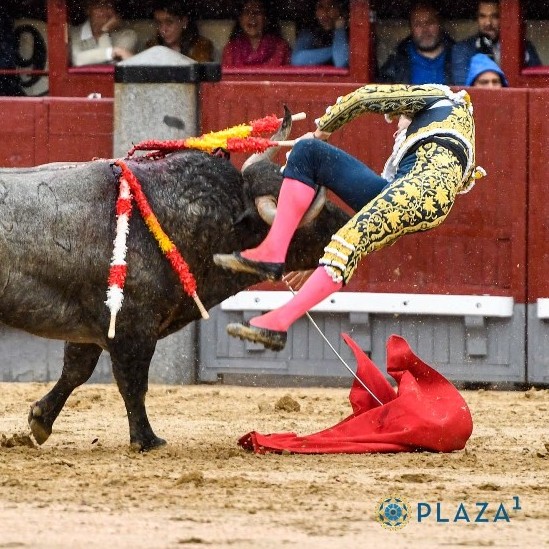 Diario Frontera, Frontera Digital,  FERIA DE SAN ISIDRO, DECIMOSÉPTIMO FESTEJO DE ABONO, Entretenimiento, ,De la sangre de Garrido a la gloria exaltada y frustrada de Robleño en Madrid