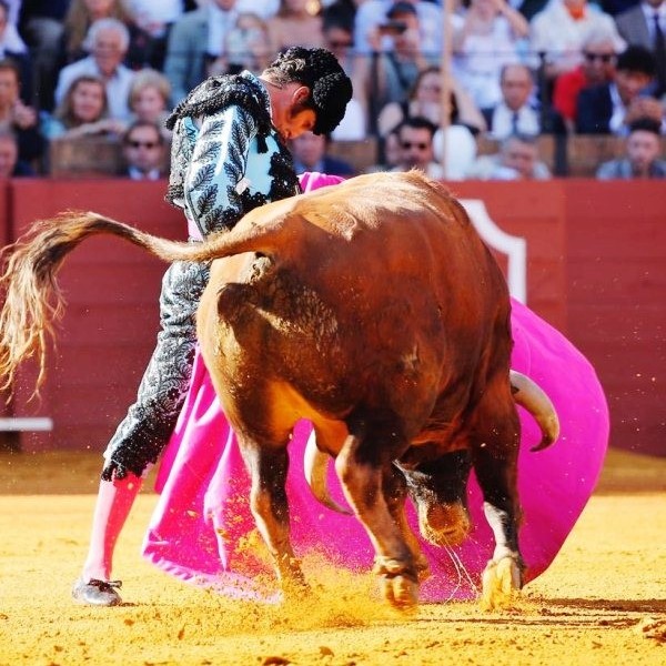 Diario Frontera, Frontera Digital,  RESUMEN / FERIA DE ABRIL EN SEVILLA 2023, MORANTE DE LA PUEBLA, Entretenimiento, ,Morante: después de mí, nadie...