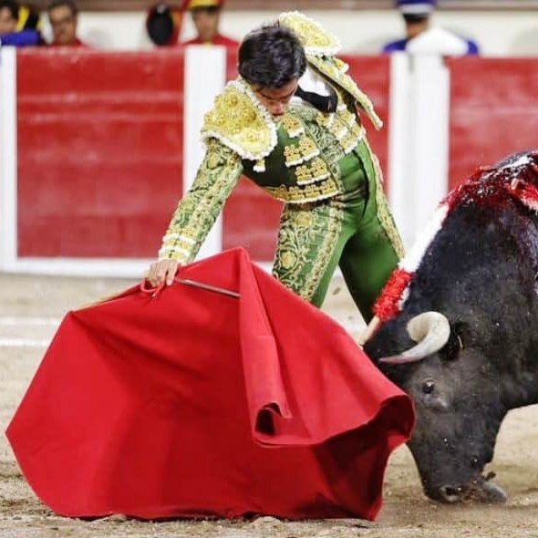 Diario Frontera, Frontera Digital,  FERIAS DE TOVAR, VILLAFRAZ, JOHAN SANTANA, Entretenimiento, ,Campolargo, Rancho Grande y San Antonio, divisas a correrse en Tovar
