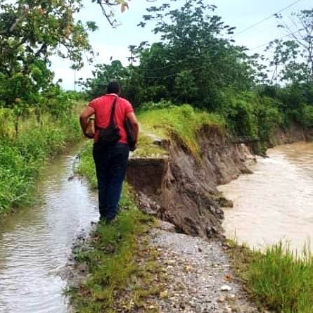 Diario Frontera, Frontera Digital,  ALBERTO ADRIANI, RÍO ONIA, VIALIDAD KILÓMETRTO 49, El Vigía Panamericana, ,Crecida del río Onia acabó con vialidad rural 
del kilómetro 49 en Alberto AdrIani