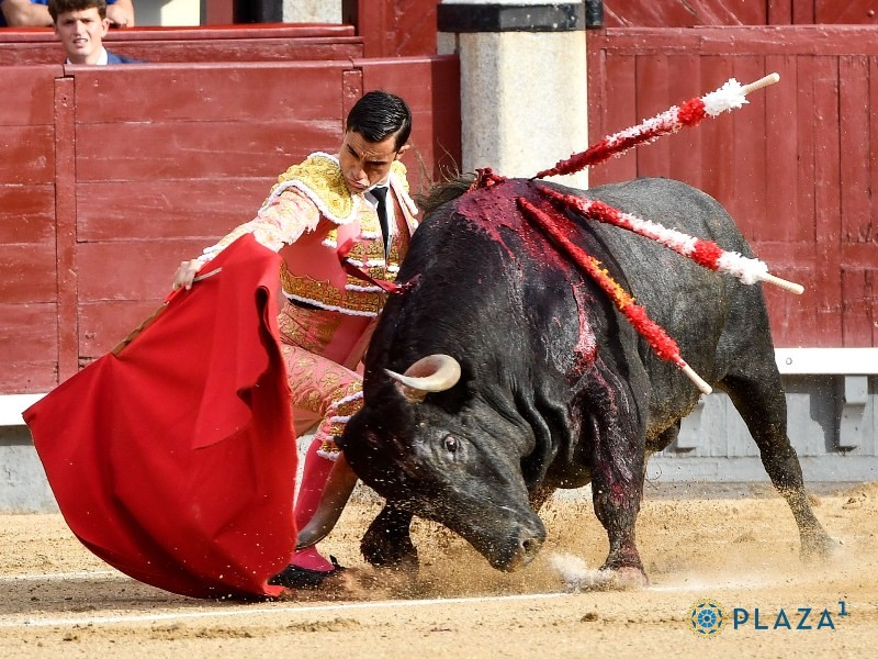 Diario Frontera, Frontera Digital,  FERIA DE SAN ISIDRO, VIGESIMOCUARTO Y ULTIMO FESTEJO DE ABONO, VIGESIMOCUARTO Y ULTIMO FESTEJO DE ABONO, Entretenimiento, ,Victorino vuelve a reinar en su feudo con una corrida espectacular 
y la guinda de un tremebundo «Director»