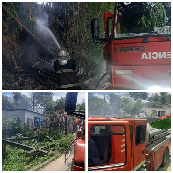 Diario Frontera, Frontera Digital,  BOMBEROS EL VIGÍA, Sucesos, ,Bomberos sofocaron incendio 
forestal en Alta Vista de El Vigía