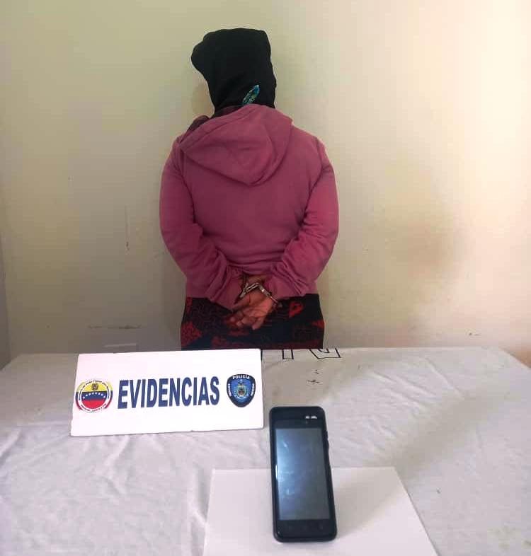 Diario Frontera, Frontera Digital,  DETENIDA POR HURTO, MÉRIDA, PNB, Sucesos, ,Polimérida capturó mujer por hurto de celular