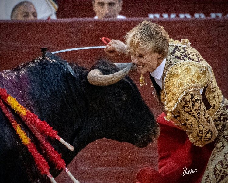 Diario Frontera, Frontera Digital,  FERIA DE SAN ISIDRO, DECIMOCTAVO FESTEJO DE ABONO, Entretenimiento, ,Álvaro Burdiel, un torero con algo que decir