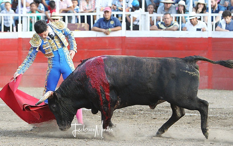Diario Frontera, Frontera Digital,  TOROS EN EL VIGÍA, Entretenimiento, ,Toros en El Vigía: corrida mixta con gran interés de toreros y ganaderías