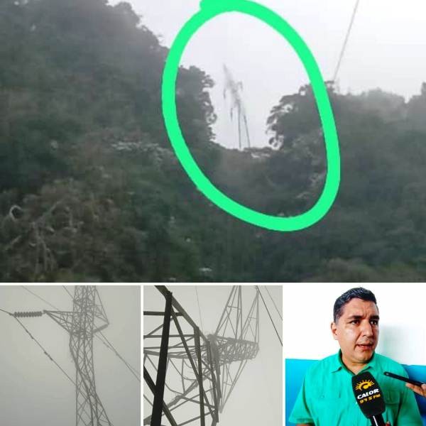 Diario Frontera, Frontera Digital,  sen, sistema eléctrico nacional, torre de alta tensión, santo domingo, mérida, Páramo, ,Caída de árbol generó crisis en una de las torres del Sistema Eléctrico Nacional