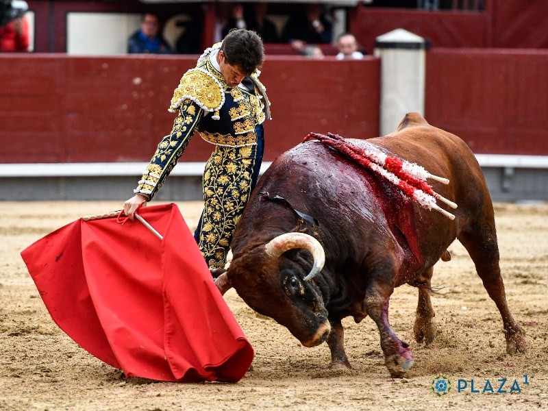 Diario Frontera, Frontera Digital,  FERIA DE SAN ISIDRO, VIGÉSIMO FESTEJO DE ABONO, Entretenimiento, ,Una excelente faena de Daniel Luque