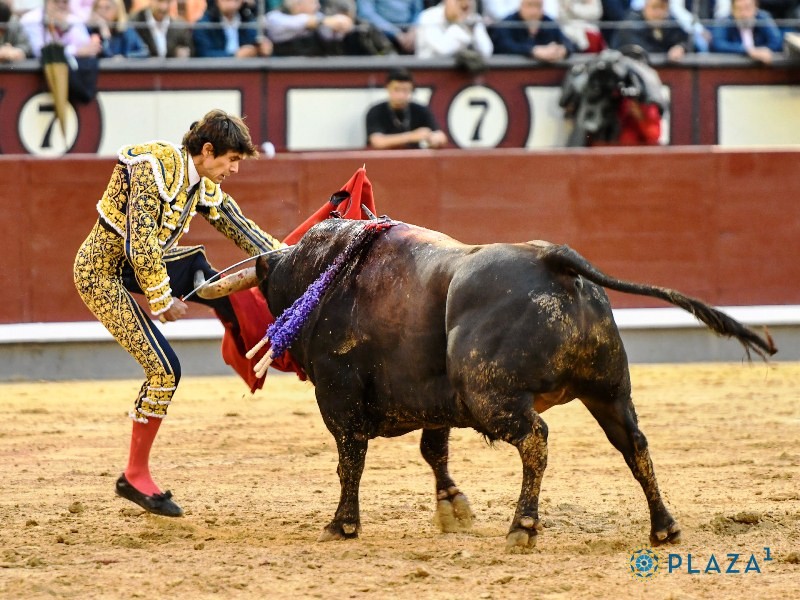 Diario Frontera, Frontera Digital,  FERIA DE SAN ISIDRO, VIGESIMOPRIMER FESTEJO DE ABONO, Entretenimiento, ,Un mayúsculo toro de Lola Domecq