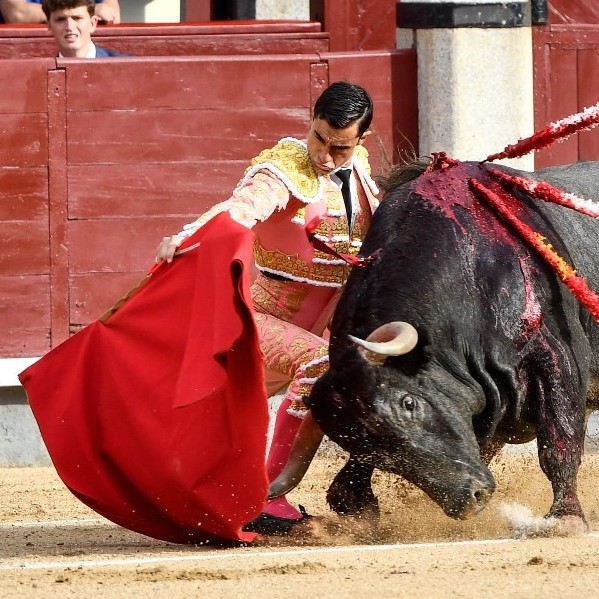 Diario Frontera, Frontera Digital,  FERIA DE SAN ISIDRO, VIGESIMOCUARTO Y ULTIMO FESTEJO DE ABONO, VIGESIMOCUARTO Y ULTIMO FESTEJO DE ABONO, Entretenimiento, ,Victorino vuelve a reinar en su feudo con una corrida espectacular 
y la guinda de un tremebundo «Director»