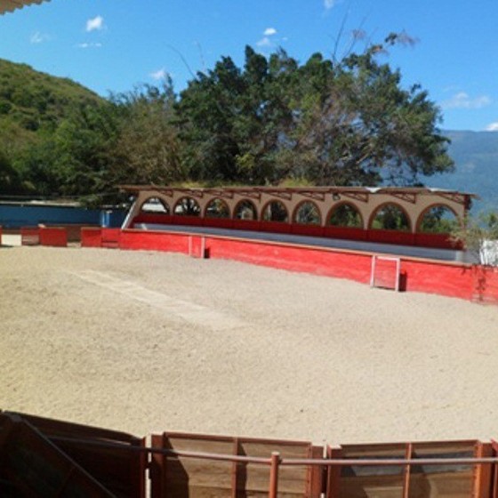 Diario Frontera, Frontera Digital,  PALZA DE TOROS CHIGUARÁN, EL VIGIA, COREMER, Entretenimiento, ,El Vigía y Chiguará con ruedos para fomento y difusión de la fiesta brava