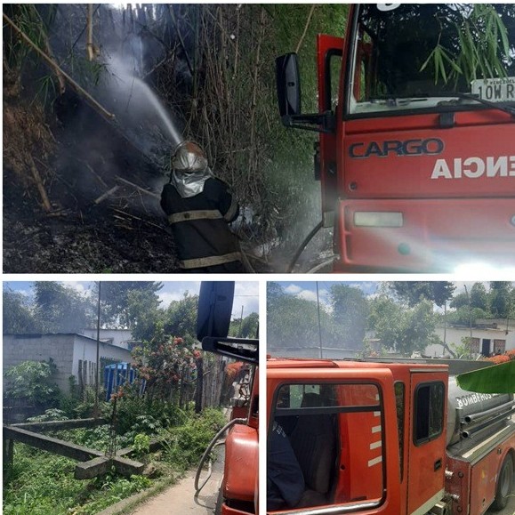 Diario Frontera, Frontera Digital,  BOMBEROS EL VIGÍA, Sucesos, ,Bomberos sofocaron incendio 
forestal en Alta Vista de El Vigía