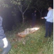 Diario Frontera, Frontera Digital,  río Onia en Colón del Zulia, LOCALIZADO ESTADO DE DESCOMPOSICIÓN, Sucesos, ,Cicpc indaga el deceso del ciudadano localizado 
en descomposición en el río Onia en Colón del Zulia