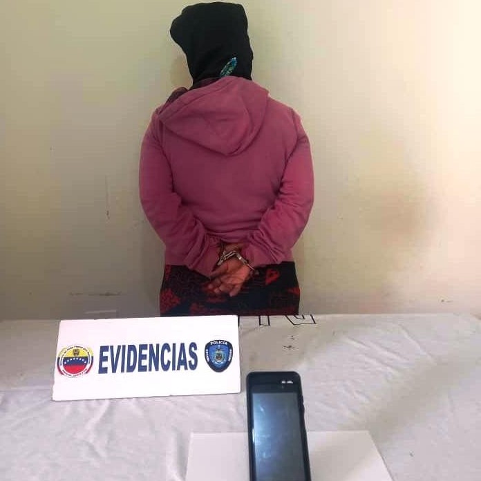 Diario Frontera, Frontera Digital,  DETENIDA POR HURTO, MÉRIDA, PNB, Sucesos, ,Polimérida capturó mujer por hurto de celular