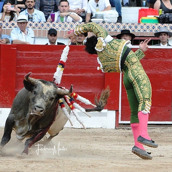 Diario Frontera, Frontera Digital,  Tres orejas Colombo, Aire Sur L’Adour, Entretenimiento, ,Tres orejas Colombo, en Aire Sur L’Adour este domingo
