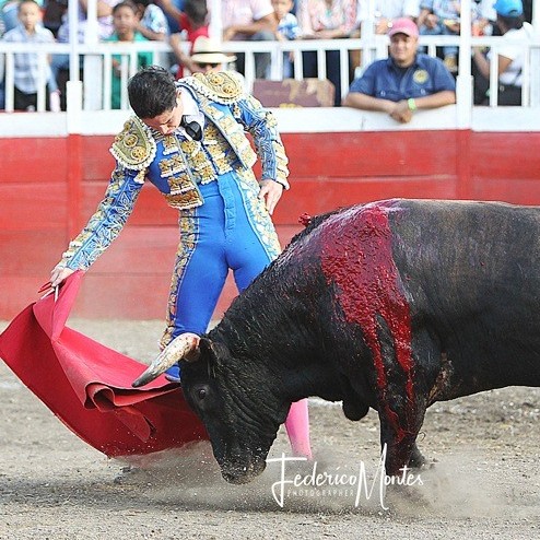 Diario Frontera, Frontera Digital,  TOROS EN EL VIGÍA, Entretenimiento, ,Toros en El Vigía: corrida mixta con gran interés de toreros y ganaderías