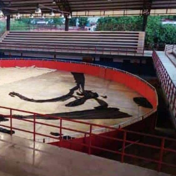 Diario Frontera, Frontera Digital,  RUEDO DE TOROS EN EL VIGÍA, GIMNASIO DE BOXEO, Entretenimiento, ,Un gimnasio de boxeo, convertido en una plaza de toros