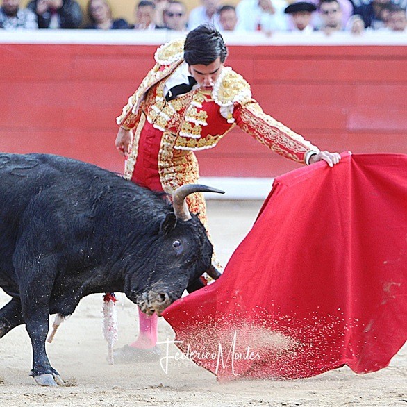 Diario Frontera, Frontera Digital,  TOROS EN LA GRITA, TÁCHIRA, Entretenimiento, ,La Grita comienza calentar su ambiente taurino ferial
