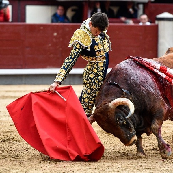 Diario Frontera, Frontera Digital,  FERIA DE SAN ISIDRO, VIGÉSIMO FESTEJO DE ABONO, Entretenimiento, ,Una excelente faena de Daniel Luque
