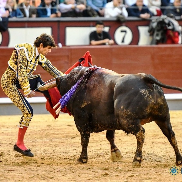 Diario Frontera, Frontera Digital,  FERIA DE SAN ISIDRO, VIGESIMOPRIMER FESTEJO DE ABONO, Entretenimiento, ,Un mayúsculo toro de Lola Domecq