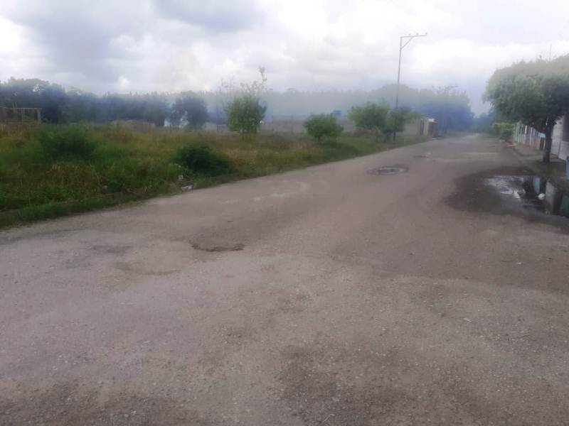 Diario Frontera, Frontera Digital,  ecocidio en La Motosa, ALBERTO ADRIANI, MÉRIDA, El Vigía Panamericana, ,Denuncian ecocidio en La Motosa del municipio Alberto Adriani