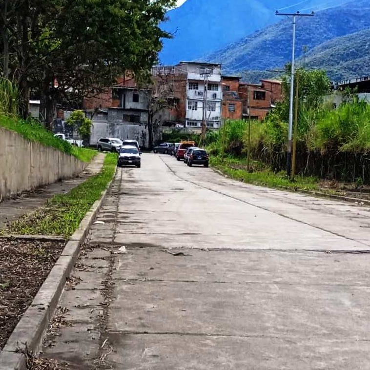 Diario Frontera, Frontera Digital,  IAHULA, ÁREAS VERDES, Salud, ,Avanzan trabajos de saneamiento de áreas verdes del Iahula