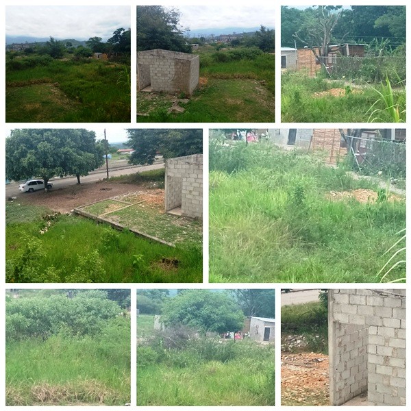 Diario Frontera, Frontera Digital,  BARRIO EL BOSQUE, TALA, EL VIGÍA, El Vigía Panamericana, ,Habitantes denuncian talas de árboles
en el barrio El Bosque de El Vigía