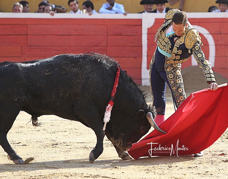 Diario Frontera, Frontera Digital,  TOROS EN LA GRITA, Entretenimiento, ,La Grita abre el periplo ferial andino de agosto