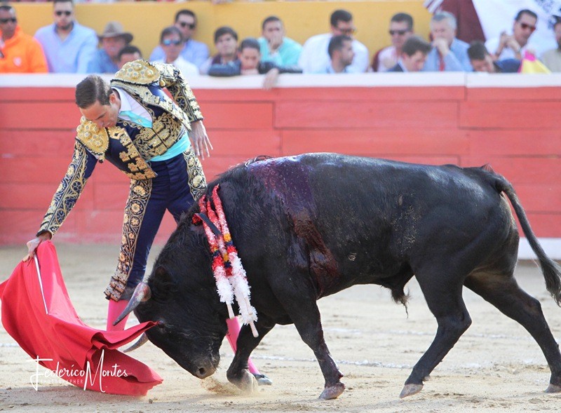 Diario Frontera, Frontera Digital,  BENITEZ, ORELLANA, TOROS, Entretenimiento, ,Benítez y Orellana a hombros en Táriba
