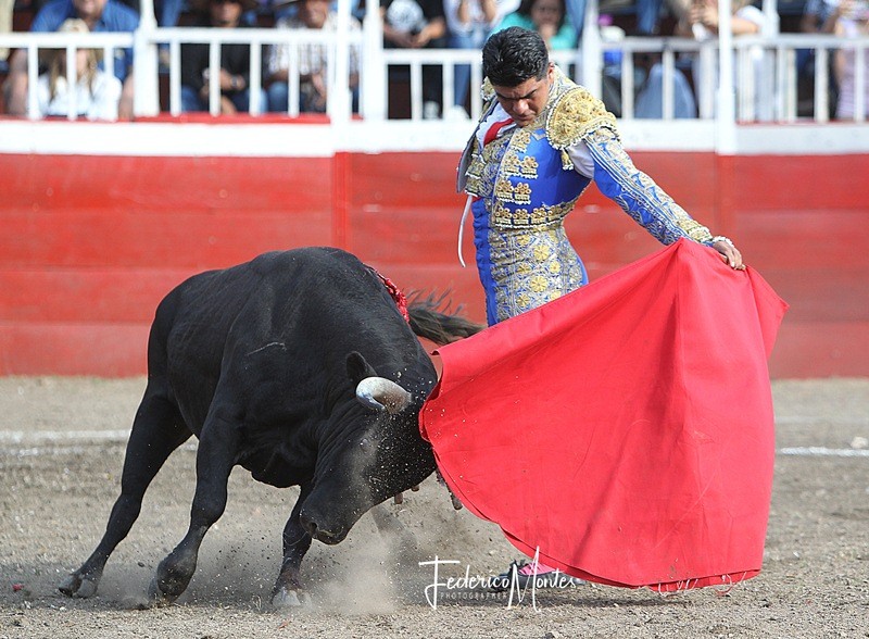 Diario Frontera, Frontera Digital,  FERIA DE LA GRITA, Entretenimiento, ,Vanegas y Castañeda a hombros en el cierre de la Feria de La Grita