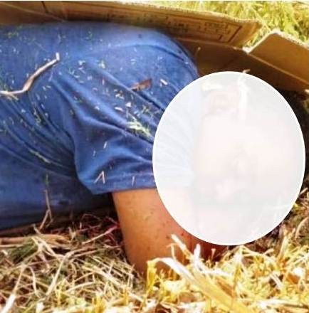 Diario Frontera, Frontera Digital,  MURIÓ MOTORIZADO, Sucesos, ,Falleció motorizado al atravesarse un perro
en la vía El Vigía –Santa Bárbara de Zulia