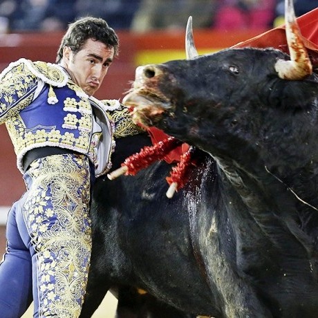 Diario Frontera, Frontera Digital,  TOROS SAN SEBASTIAN, SAN CRISTÓBAL, Entretenimiento, ,“El Fandi” de nuevo en San Cristóbal para la  temporada 2024