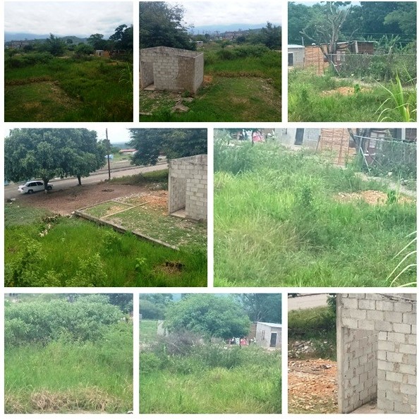 Diario Frontera, Frontera Digital,  BARRIO EL BOSQUE, TALA, EL VIGÍA, El Vigía Panamericana, ,Habitantes denuncian talas de árboles
en el barrio El Bosque de El Vigía
