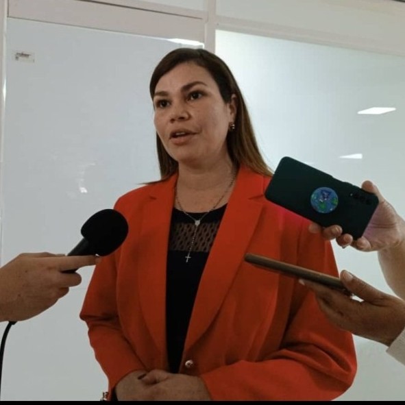 Diario Frontera, Frontera Digital,  LILIANA GUERRERO, UNT, Politica, ,Liliana Guerrero: se agotó el tiempo de espera por una solución al sistema eléctrico en Mérida