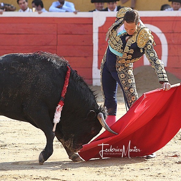 Diario Frontera, Frontera Digital,  TOROS EN LA GRITA, Entretenimiento, ,La Grita abre el periplo ferial andino de agosto