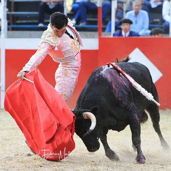 Diario Frontera, Frontera Digital,  FERIA DE LA GRITA, TOROS, VANEGAS, Entretenimiento, ,Los Vanegas a hombros en La Grita, 
sumando un nuevo matador a la familia