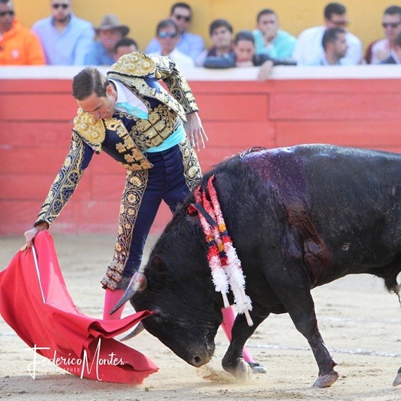 Diario Frontera, Frontera Digital,  BENITEZ, ORELLANA, TOROS, Entretenimiento, ,Benítez y Orellana a hombros en Táriba