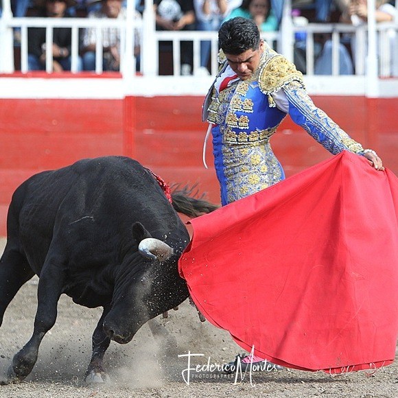 Diario Frontera, Frontera Digital,  FERIA DE LA GRITA, Entretenimiento, ,Vanegas y Castañeda a hombros en el cierre de la Feria de La Grita