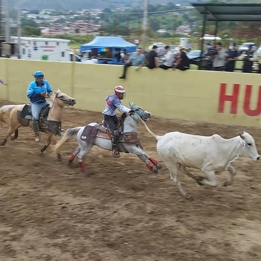 Diario Frontera, Frontera Digital,  JUEGOS DE ABVOGADOS, MÉRIDA 2023, JUEGOS DE ABOGADOS, Deportes, ,Mérida lidera los Juegos Nacionales de Abogados