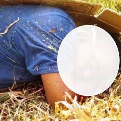 Diario Frontera, Frontera Digital,  MURIÓ MOTORIZADO, Sucesos, ,Falleció motorizado al atravesarse un perro
en la vía El Vigía –Santa Bárbara de Zulia