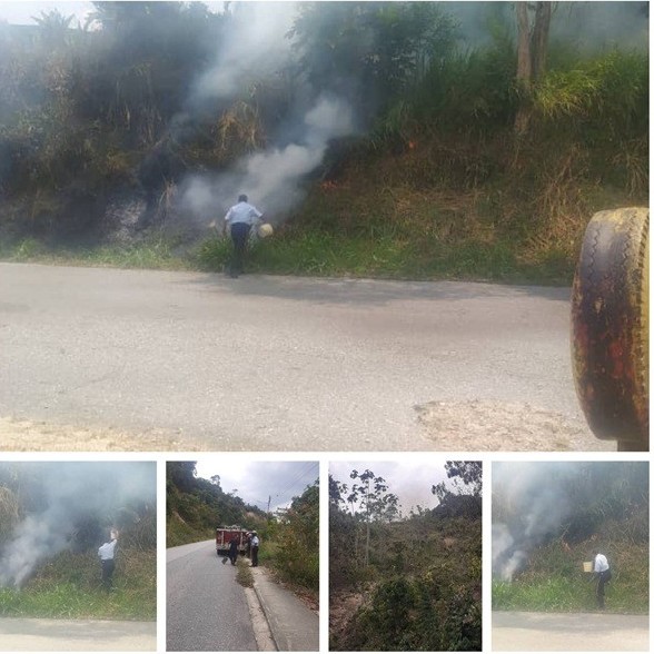 Diario Frontera, Frontera Digital,  INCENDIO FORESTAL, ROCA JULIA, EL VIGÍA, Sucesos, ,Cuerpo de Bomberos y Protección Civil sofocaron
incendio forestal en Roca Julia de El Vigía