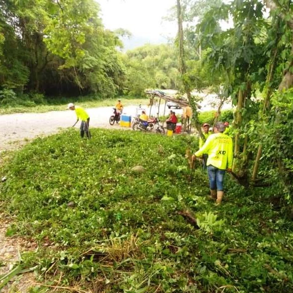 Diario Frontera, Frontera Digital,  DESMALEZAMIENTO TRONCAL 001, El Vigía Panamericana, ,Gobierno regional hace desmalezamiento en la Troncal 001