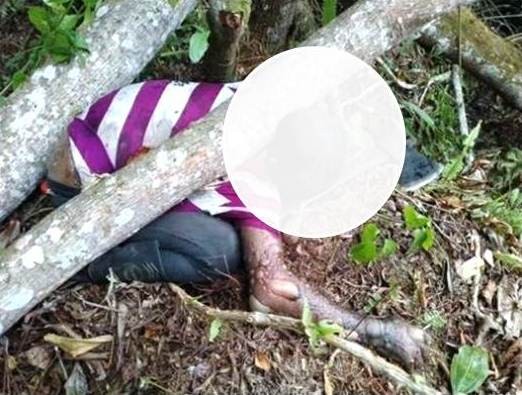 Diario Frontera, Frontera Digital,  Hallaron a ciudadano muerto, TUCANÍ, Sucesos, ,Hallaron a ciudadano muerto tras caerle 
encima un árbol que estaba cortando en Tucaní