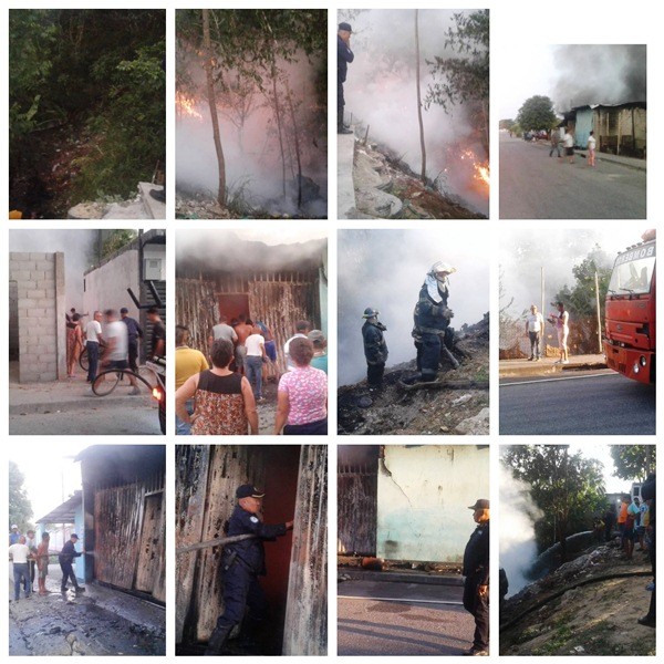 Diario Frontera, Frontera Digital,  INCENDIO CAUCHERA, CAÑO SECO, Sucesos, ,Incendio de vegetación ocasionó daño total
a una cauchera en Caño Seco de El Vigía